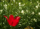 SAM_0026