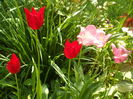 SAM_0029