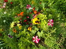 SAM_0034