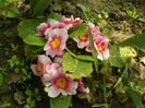 SAM_0037