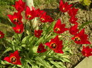 SAM_0043