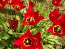 SAM_0044