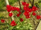 SAM_0049