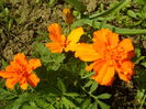 SAM_0052