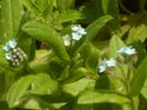 SAM_0054