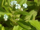 SAM_0058
