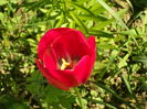 SAM_0059
