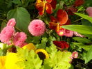 SAM_0121