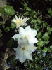 DSC09974