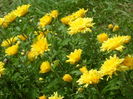 SAM_0001
