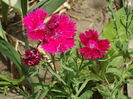 SAM_0018