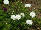 SAM_0020