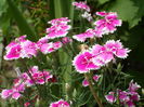 SAM_0034