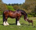 FB_IMG_1462899081785