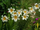 SAM_0043