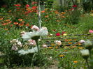 SAM_0056