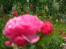 SAM_0059