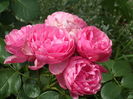 SAM_0062