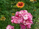SAM_0074