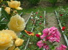 SAM_0076