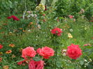 SAM_0078