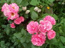 SAM_0086