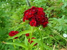 SAM_0090
