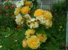 SAM_0094