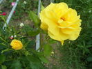SAM_0099