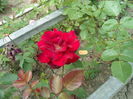 SAM_0102