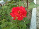 SAM_0105