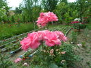 SAM_0107