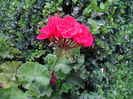 SAM_0108