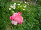 SAM_0110