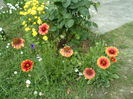 SAM_0115