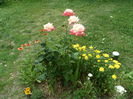 SAM_0117