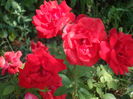 SAM_0008