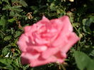 SAM_0014