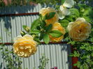 SAM_0018
