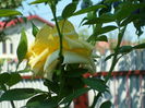 SAM_0019