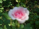SAM_0027