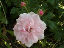 SAM_0032