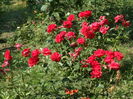 SAM_0033