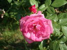 SAM_0034