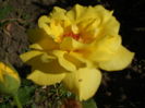 SAM_0038