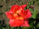 SAM_0040