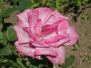 SAM_0043