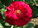SAM_0047