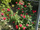 SAM_0050