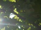 SAM_0075